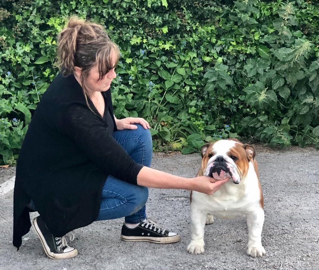 Lockdown Puppies Learn The Ropes